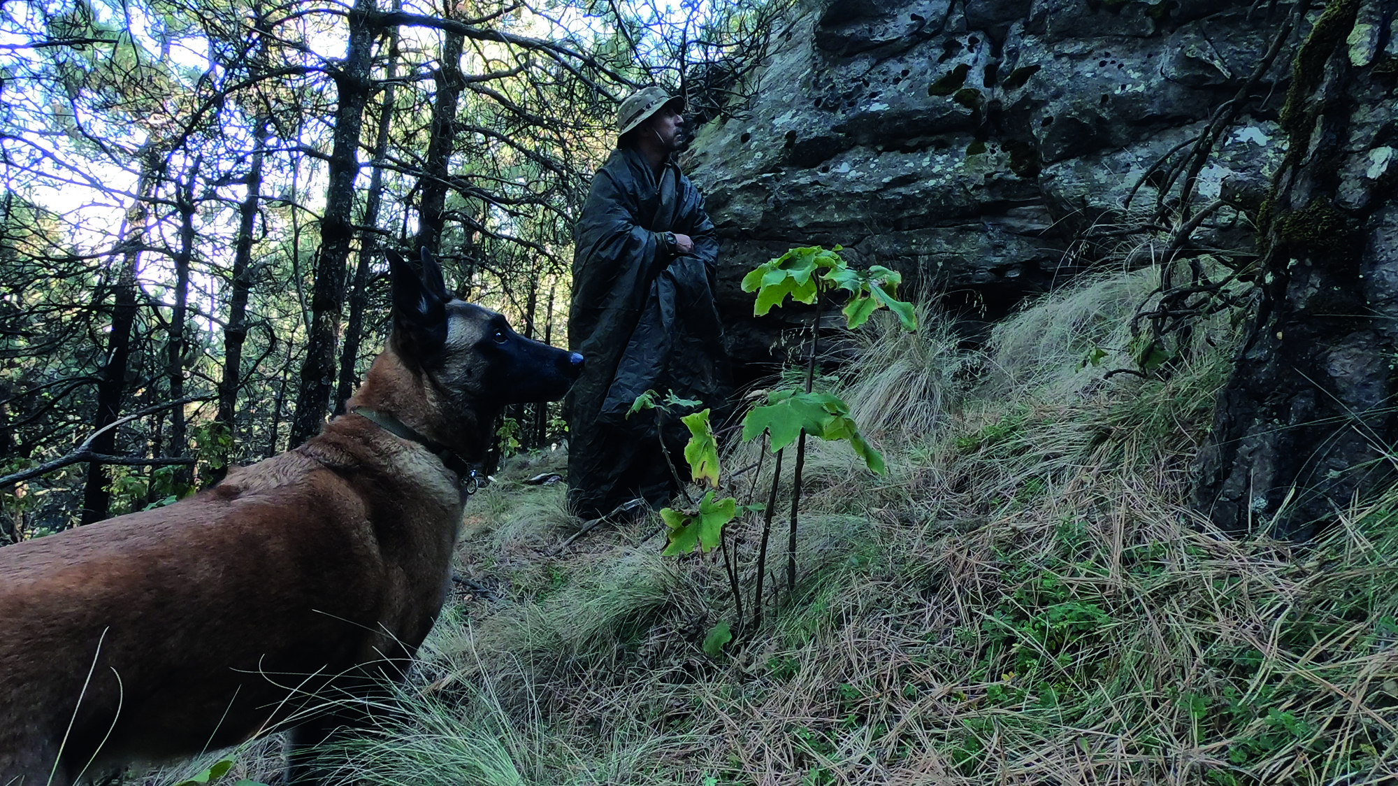 Snugpak Insulated Jungle Blanket - Decke