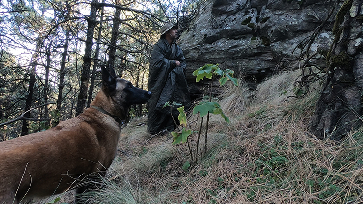 Snugpak Insulated Jungle Blanket XL - Decke