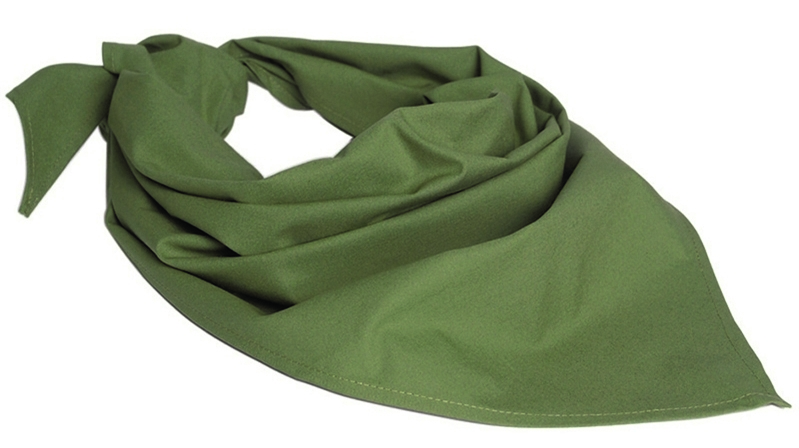 BW Dreiecktuch Original nach TL