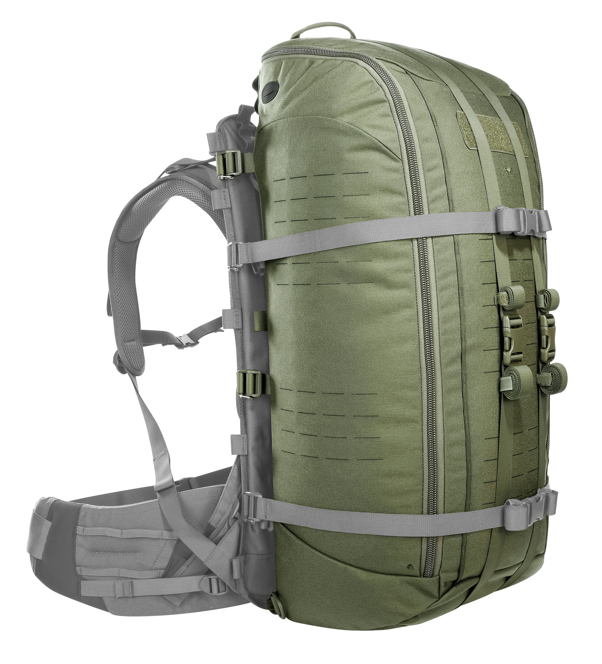 Tasmanian Tiger Base Carrier Pack 65