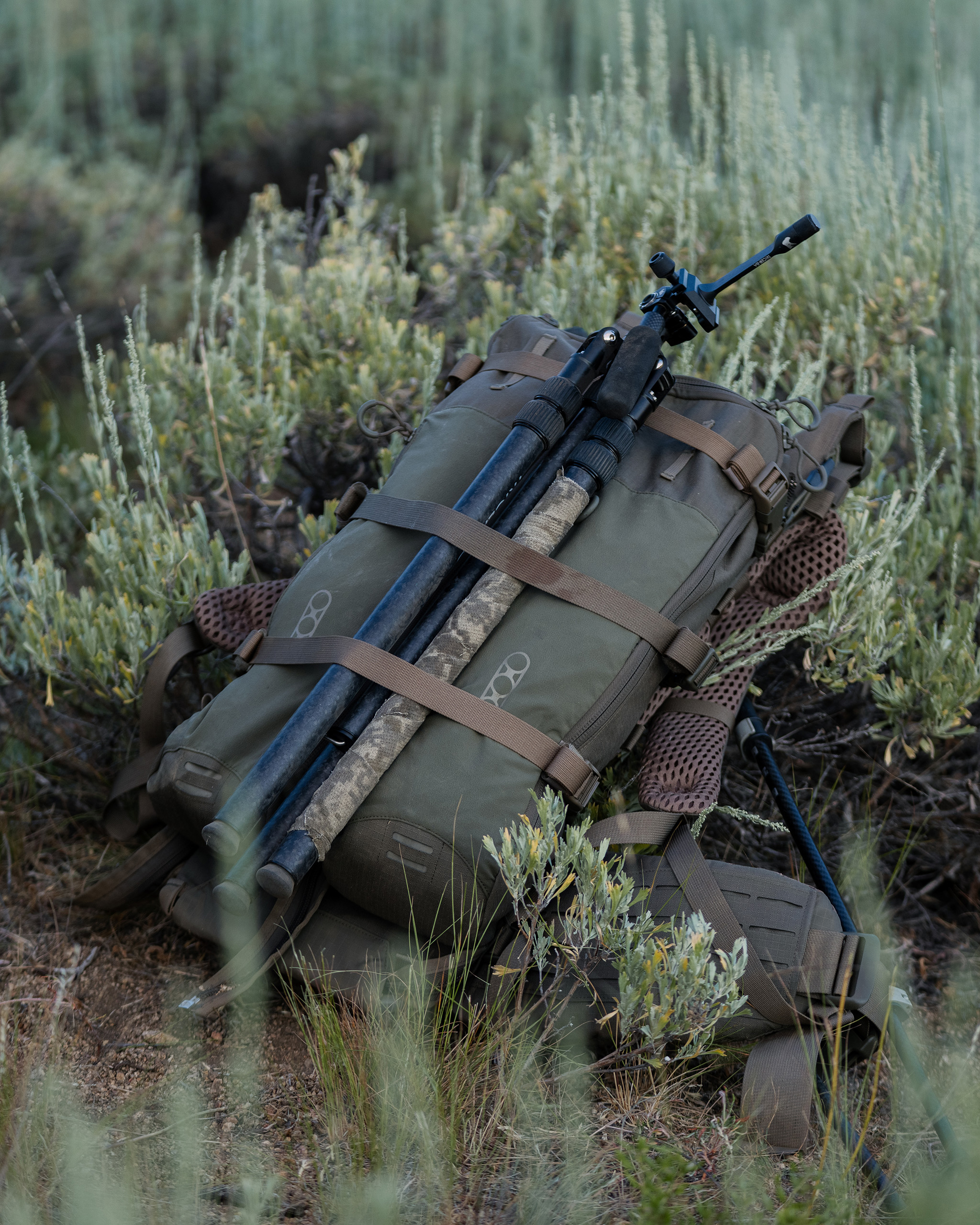 Eberlestock - A6SB Batwing 550 Camo (11,5L Erweiterungs-Tasche Rucksack)