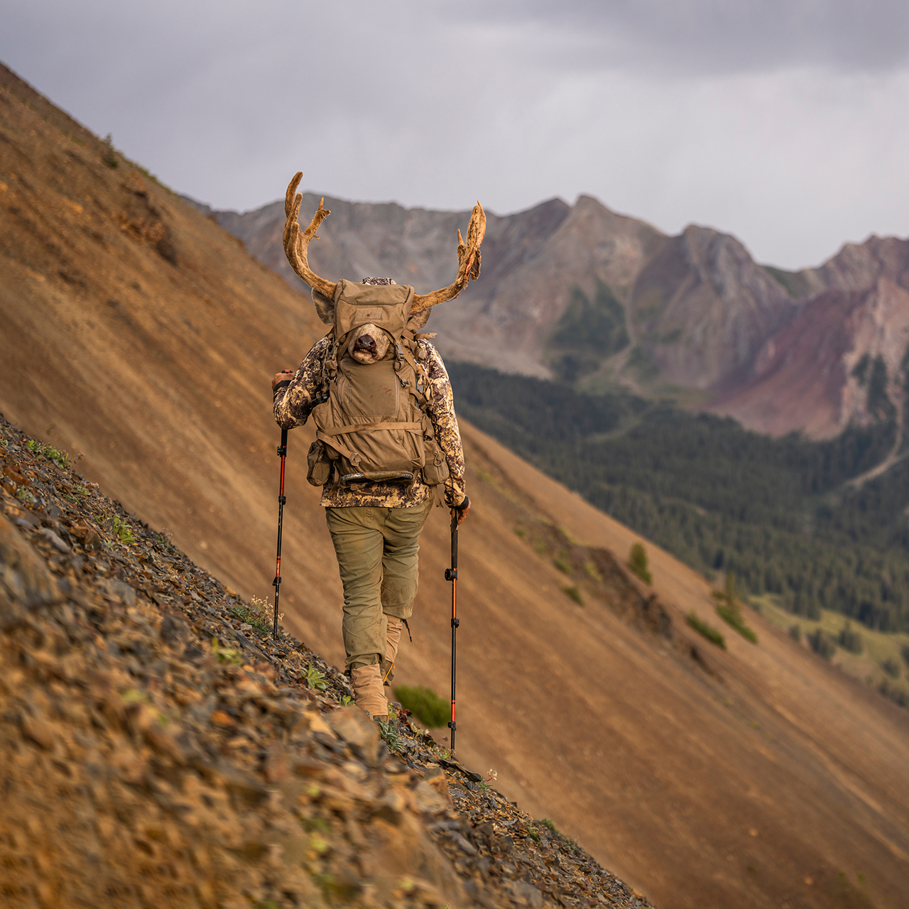 Eberlestock - VAPOR 2500 V2 Camo (Rucksack für EMOD Frame)