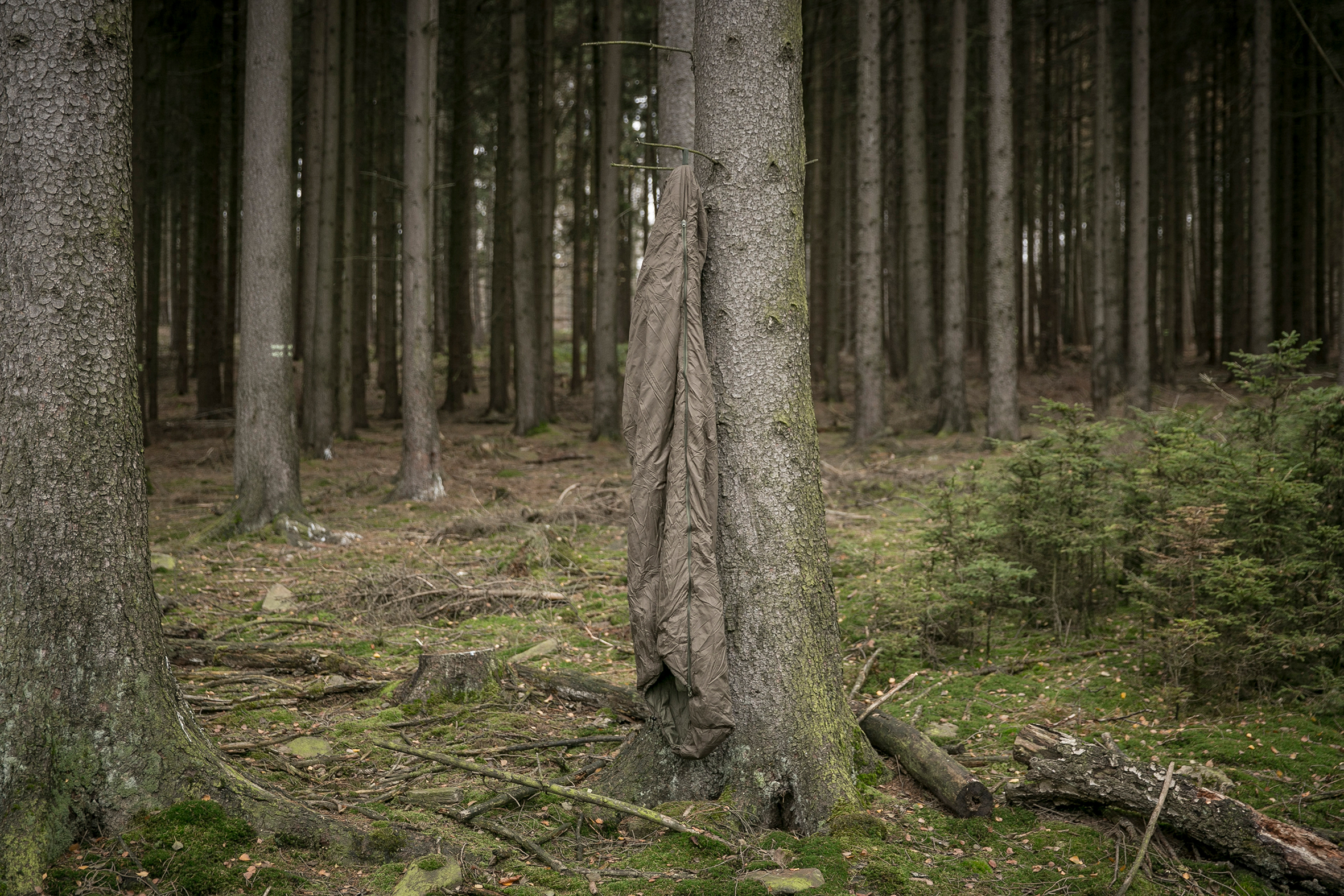 Snugpak Schlafsack Softie 3 Merlin