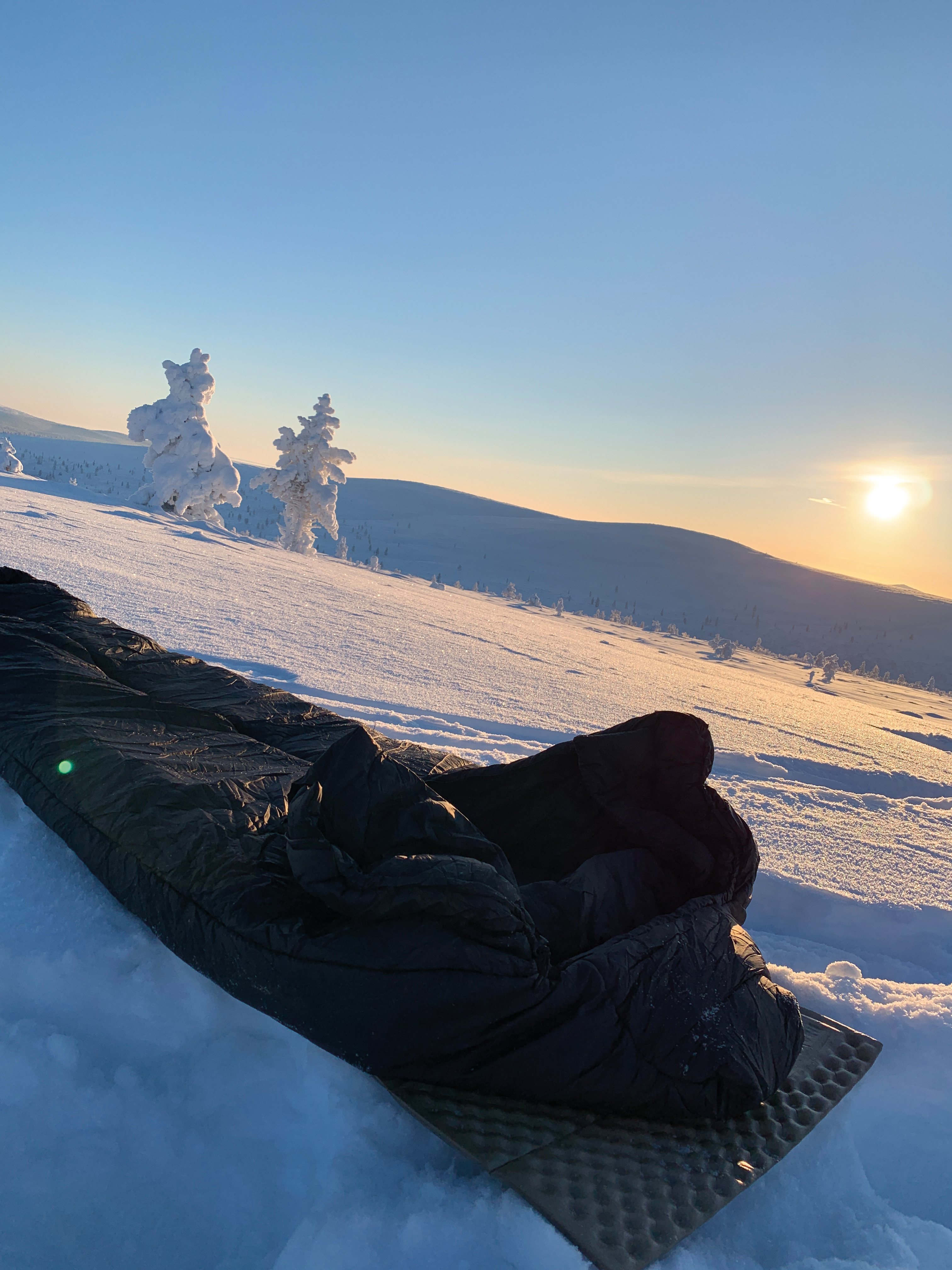 Snugpak Schlafsack Softie Antarctica