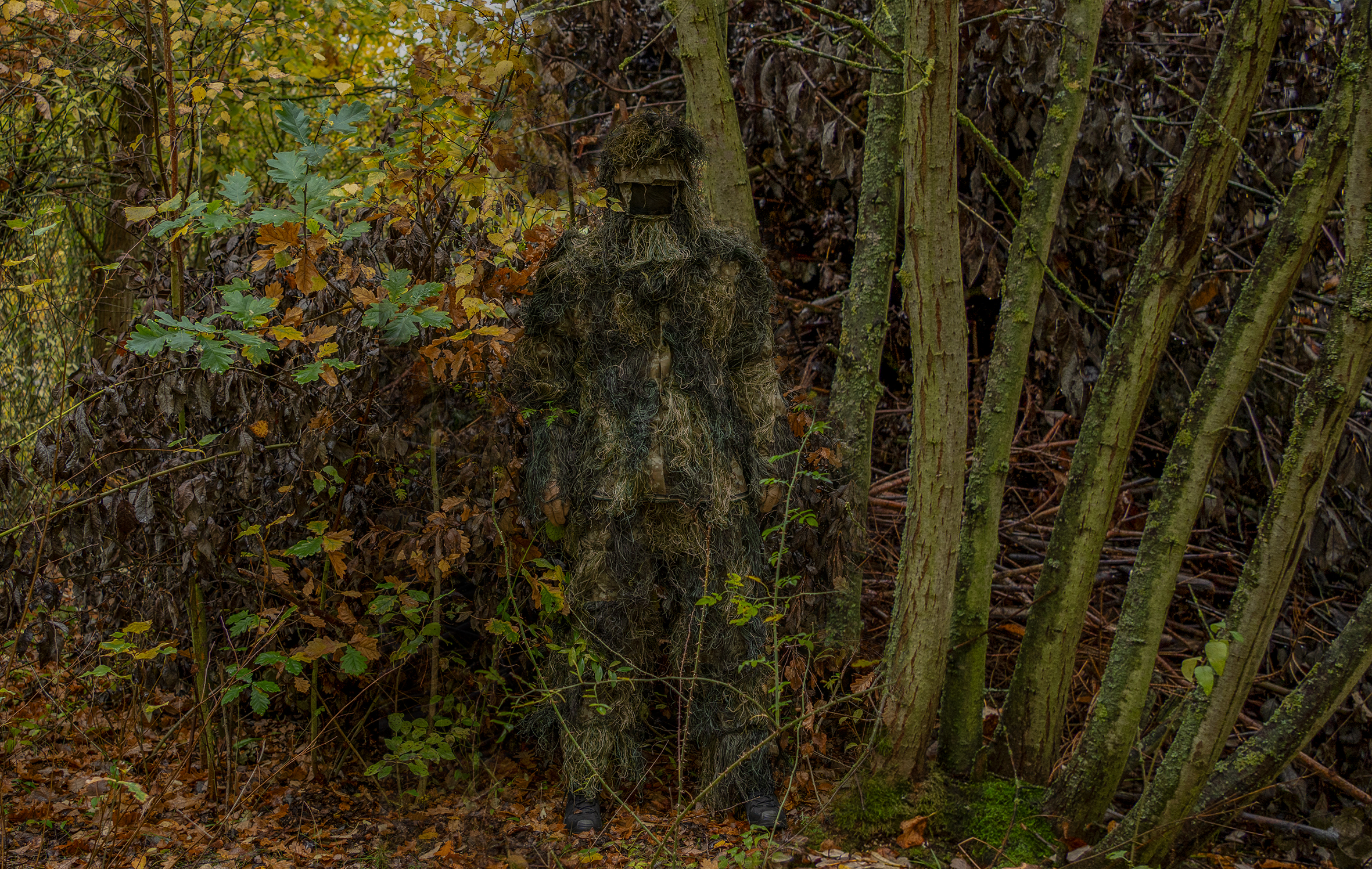 MFH - Tarnzug Ghillie woodland (Set, 4-teilig)