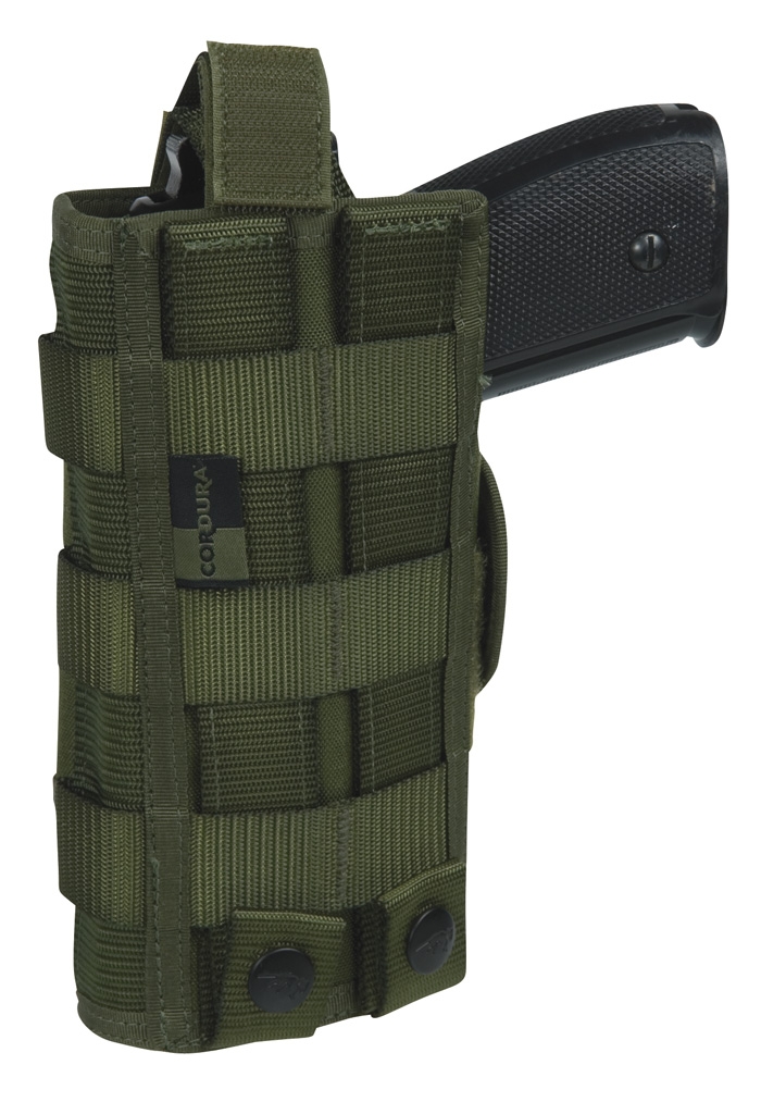 Tasmanian Tiger Tactical Holster MKII
