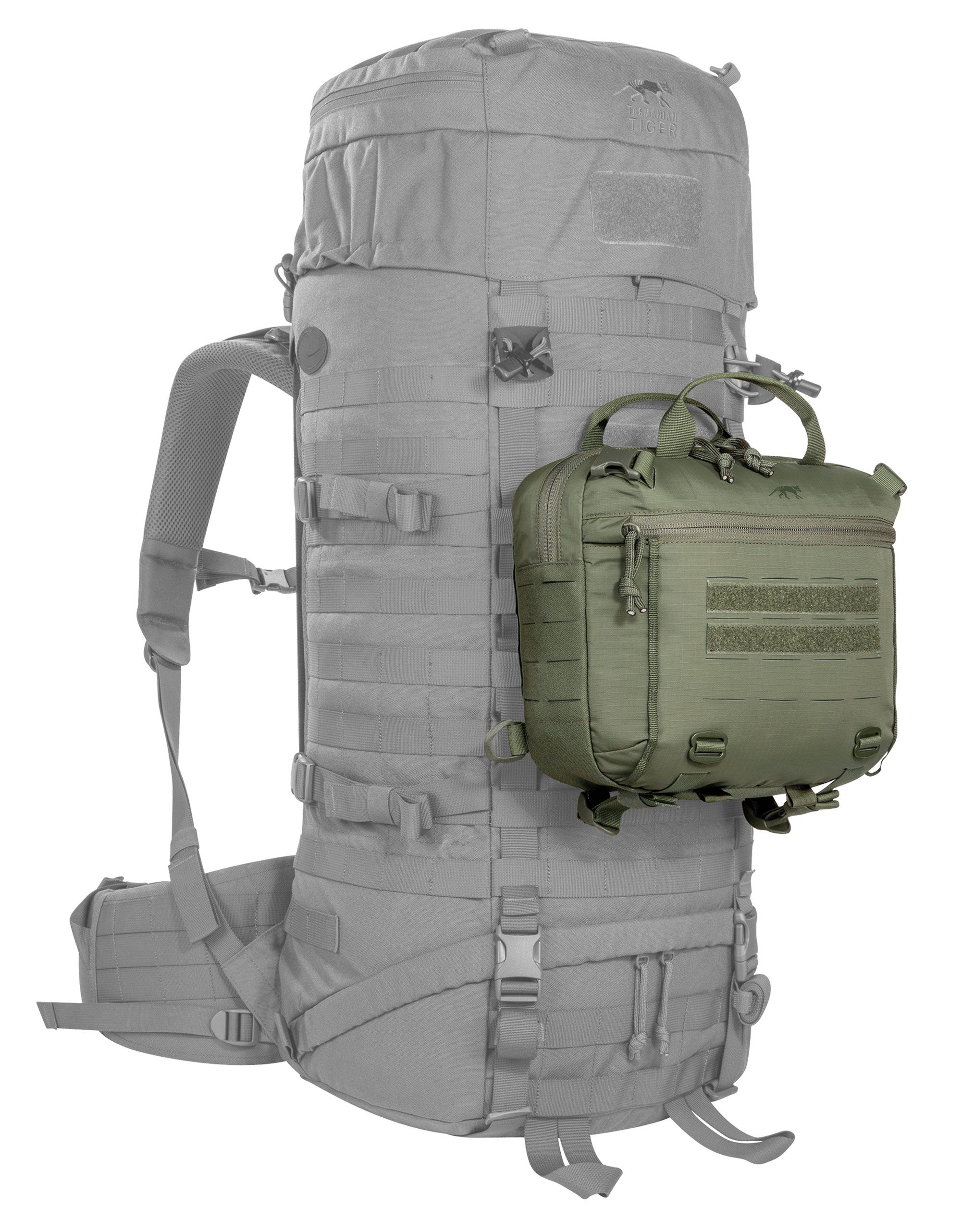 Tasmanian Tiger Modular Hip Bag 3